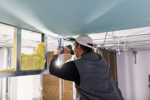 Best Fiberglass Insulation in Buffalo Grove, IL